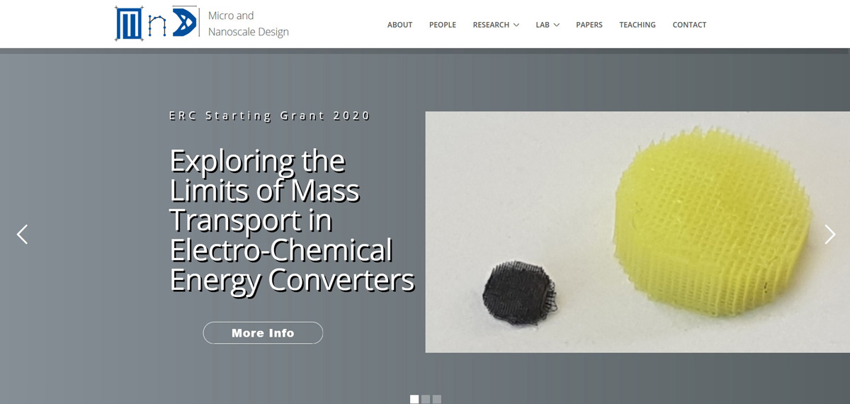 Website of Prof. Torgersen